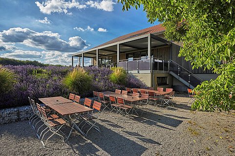Biergarten.jpg